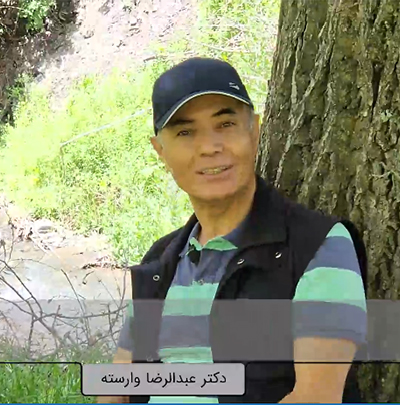 صحبت کردن